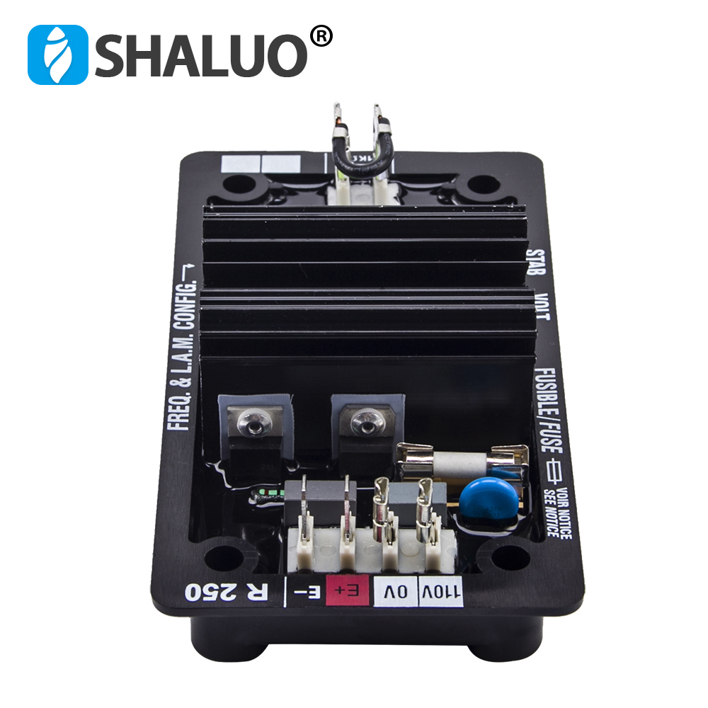 Cycloidal Reducer Bldc Motor - Fabrikversorgung R250 AVR Leroy Somer Generator
